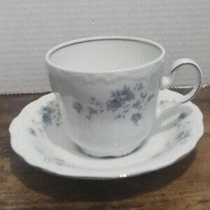 Johann Haviland Blue Garland Cup and Saucer Bavaria Germany
